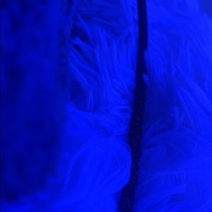 Meet your Posher, Shamara